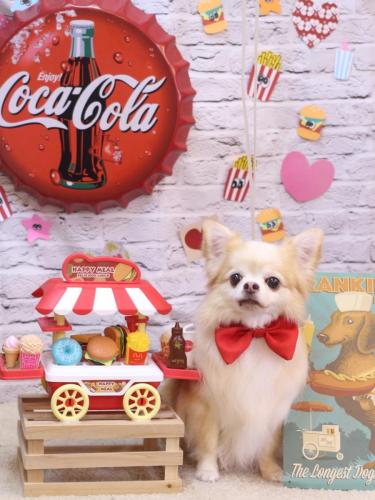 20230928ヴィヴィちゃん